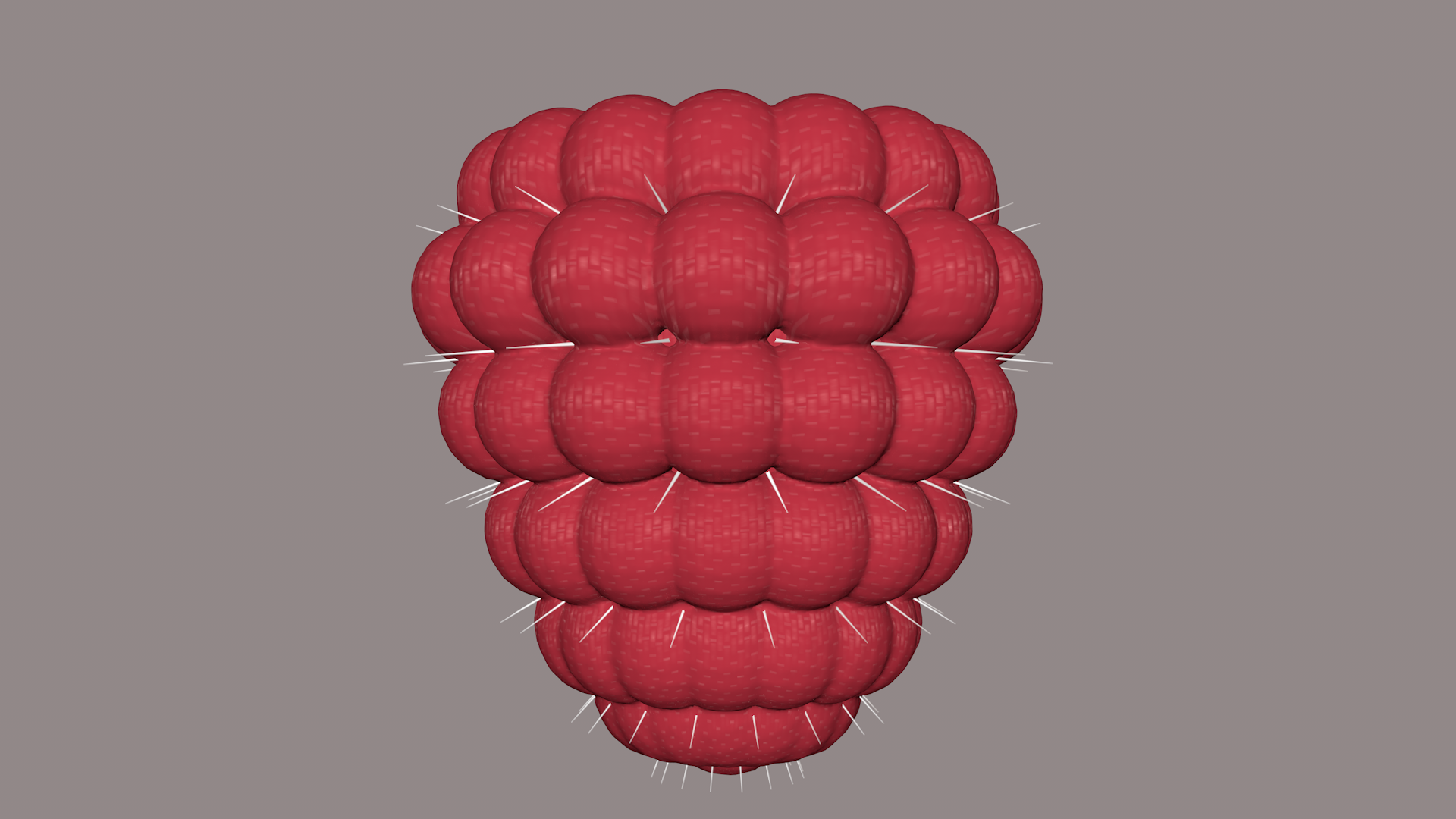 Raspberry